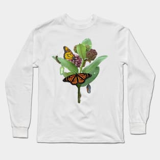 Monarch Lifecycle Egg Caterpillar Chrysalis Butterfly Long Sleeve T-Shirt